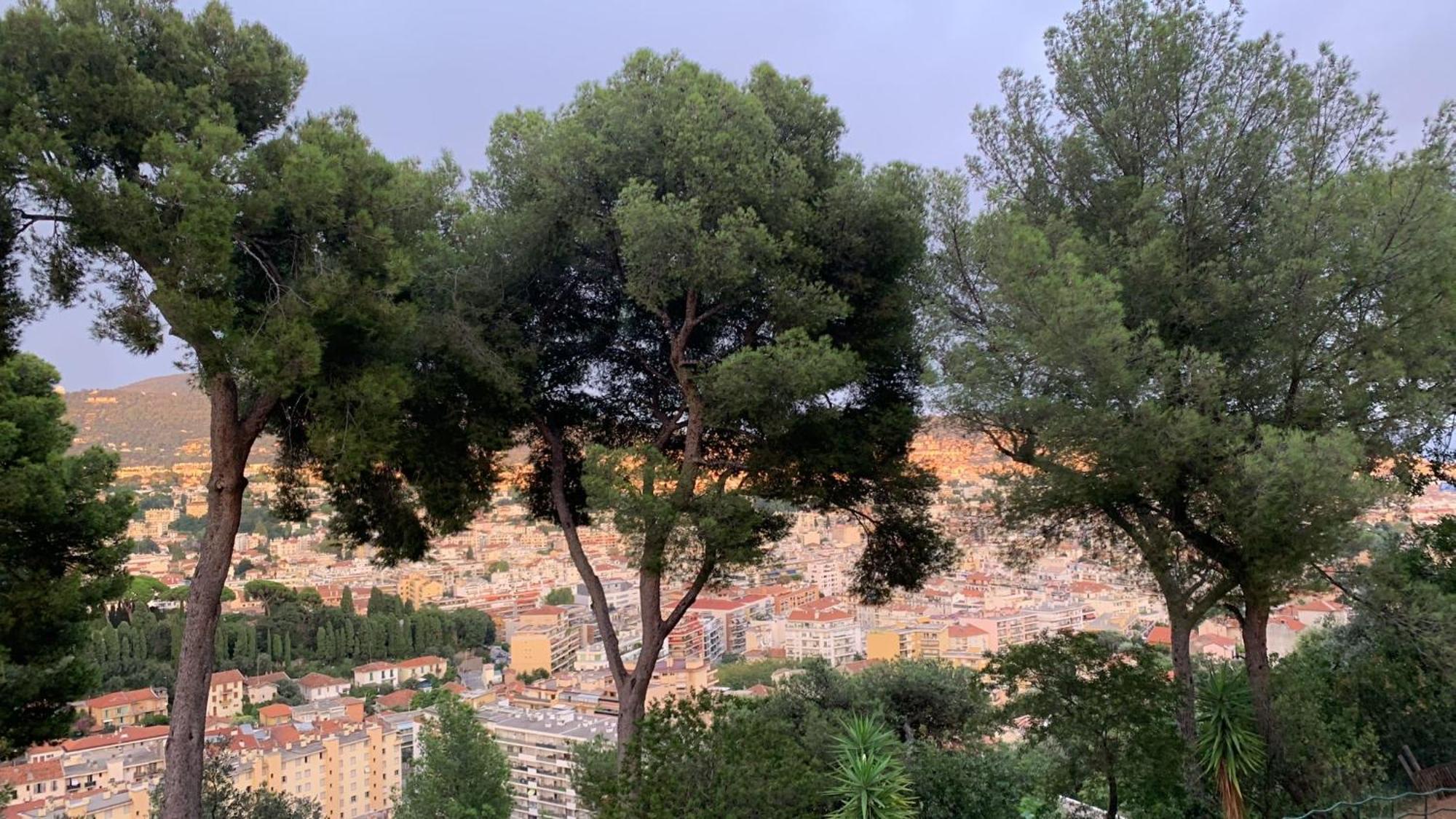 Chambre D Hote Avec Clim Terrasse Et Petit Dejeuner Hauteurs De Nizza Kültér fotó