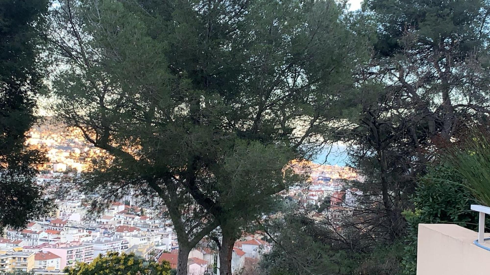 Chambre D Hote Avec Clim Terrasse Et Petit Dejeuner Hauteurs De Nizza Kültér fotó